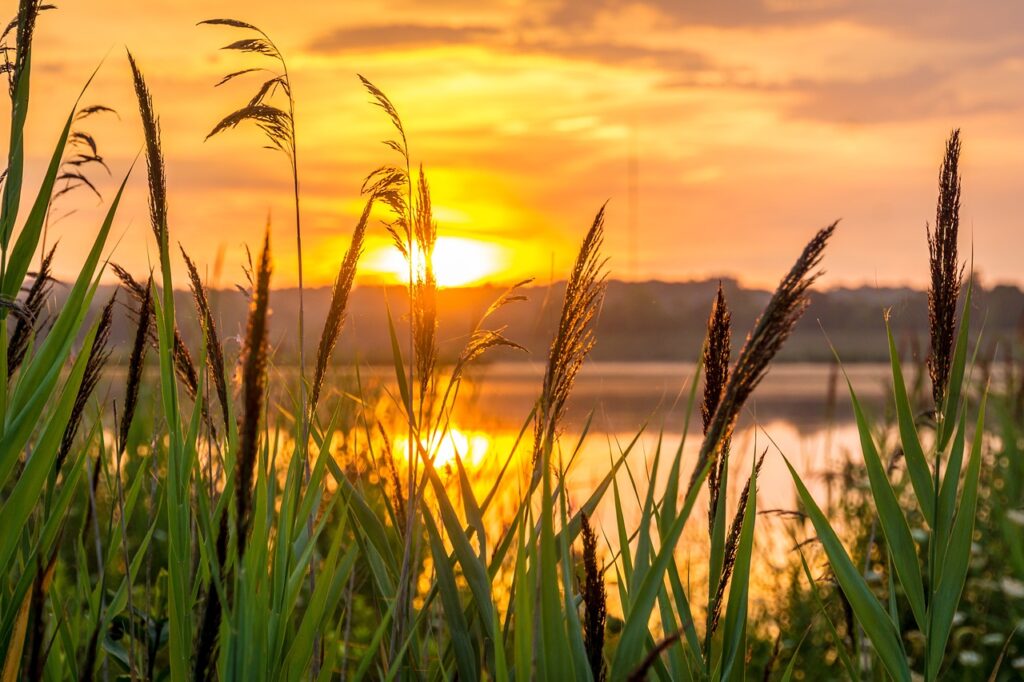 Hypnotherapy & Life Coaching in the Whitsundays