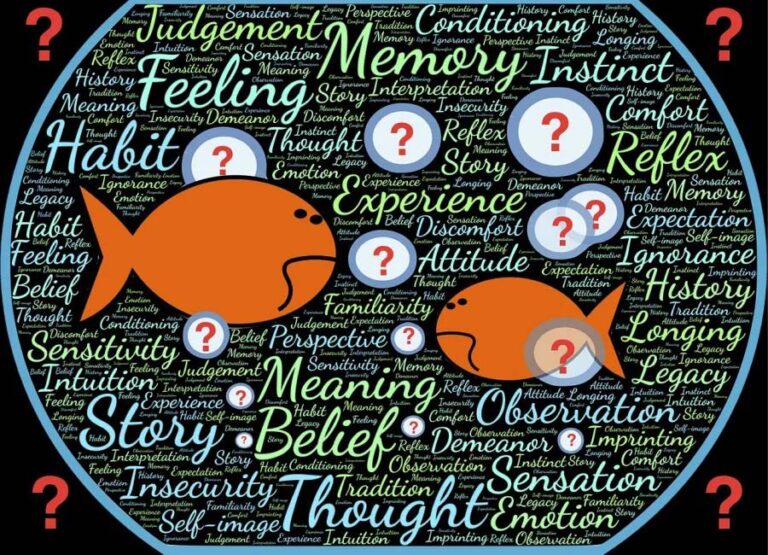 Transcending Limiting Beliefs with coaching, hypnotherapy and quantum healing