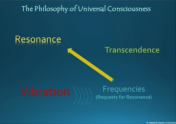 Quantum Journey - Vibrational Echoes