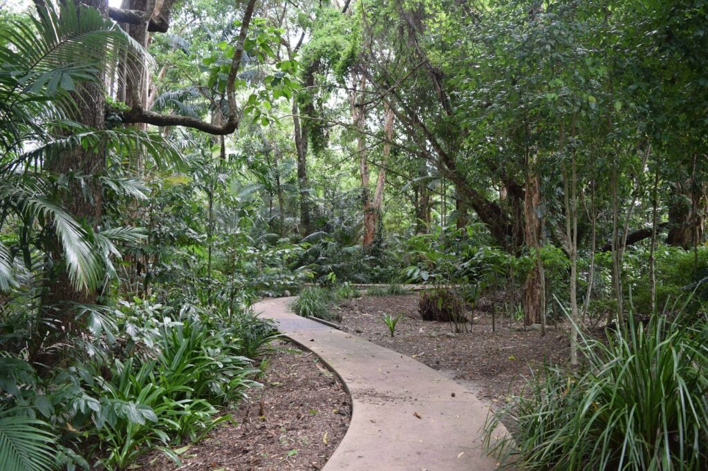 Hypnotherapy and Life Coaching in Cairns, QLD