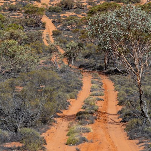 Hypnotherapy & Life Coaching in Queensland Hypnotherapy & Life Coaching in Queensland