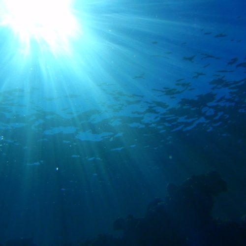 Deep dive hypnotherapy packages – Remembering Who I Am Deep dive hypnotherapy packages - Remembering Who I Am
